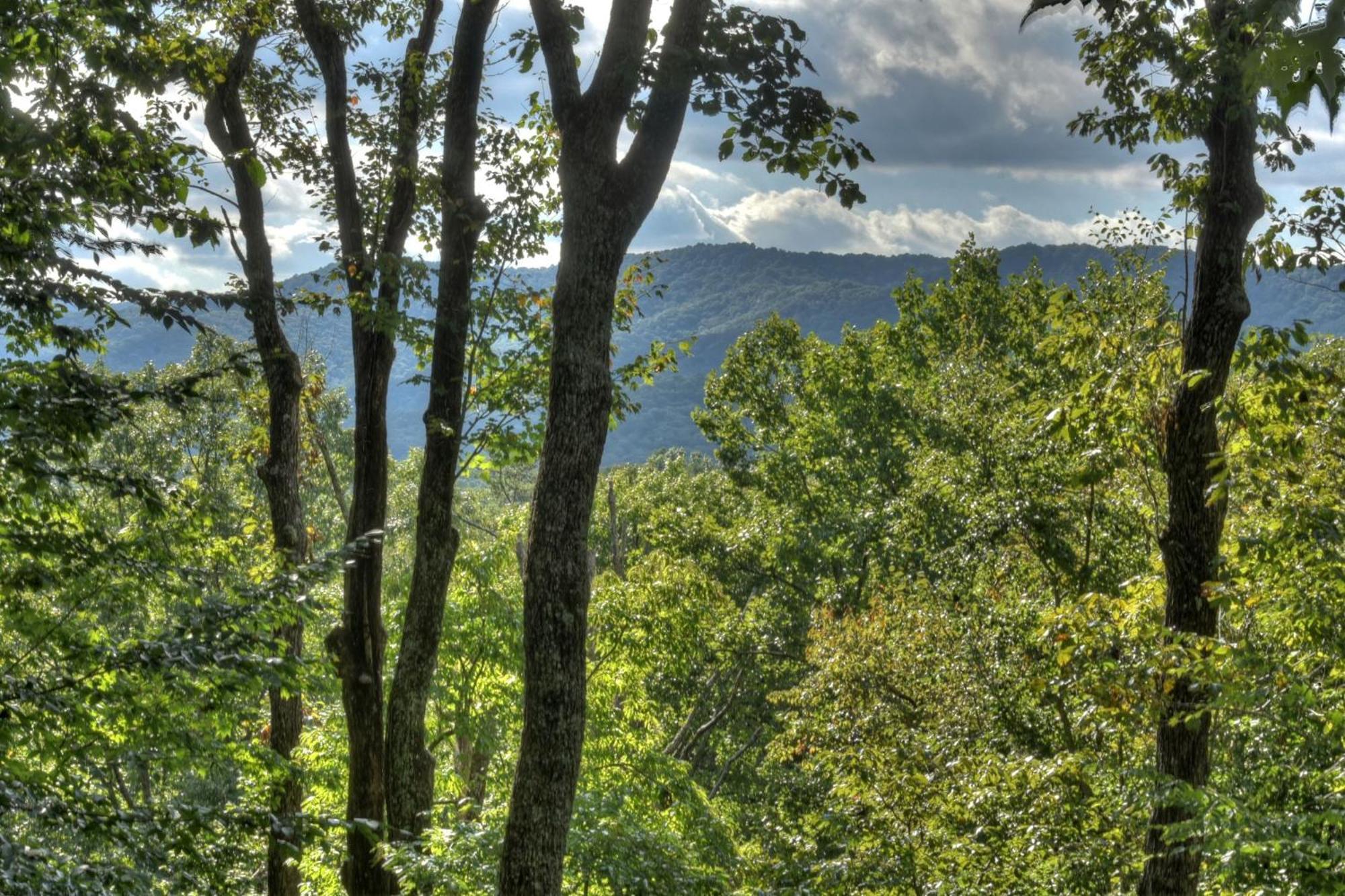 Bearfoot Ridge Wood-Burning Fireplace Cozy Hot Tub Serene Views Ellijay Ngoại thất bức ảnh